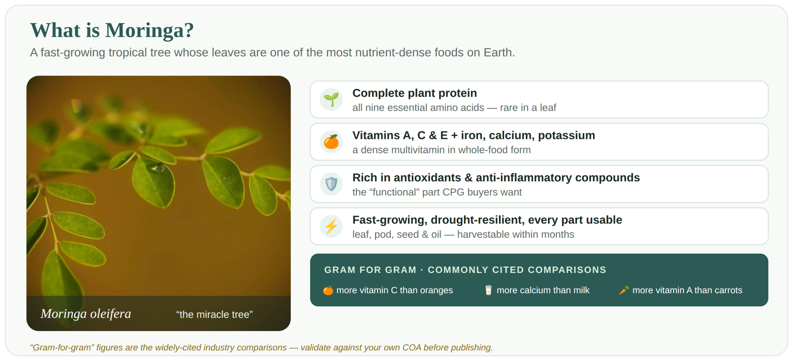 What is Moringa — complete plant protein, vitamins A C E, iron, calcium, antioxidants