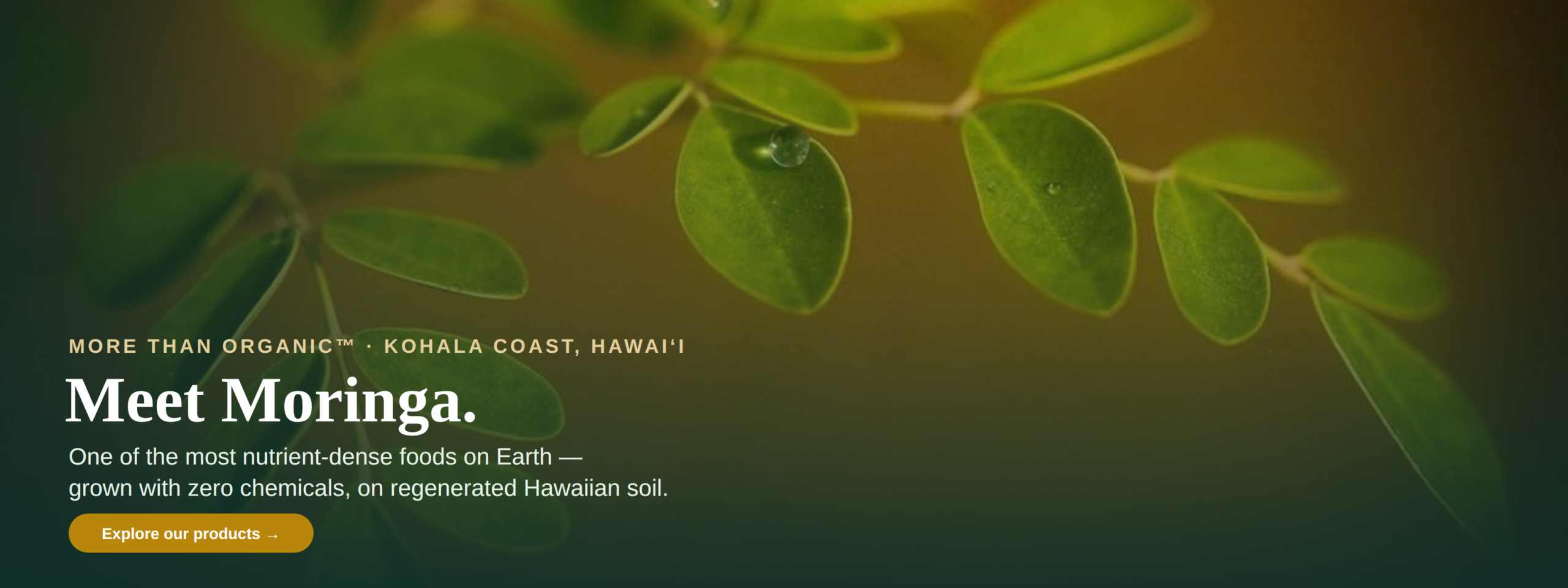 Meet Moringa — More Than Organic, Kohala Coast Hawaii