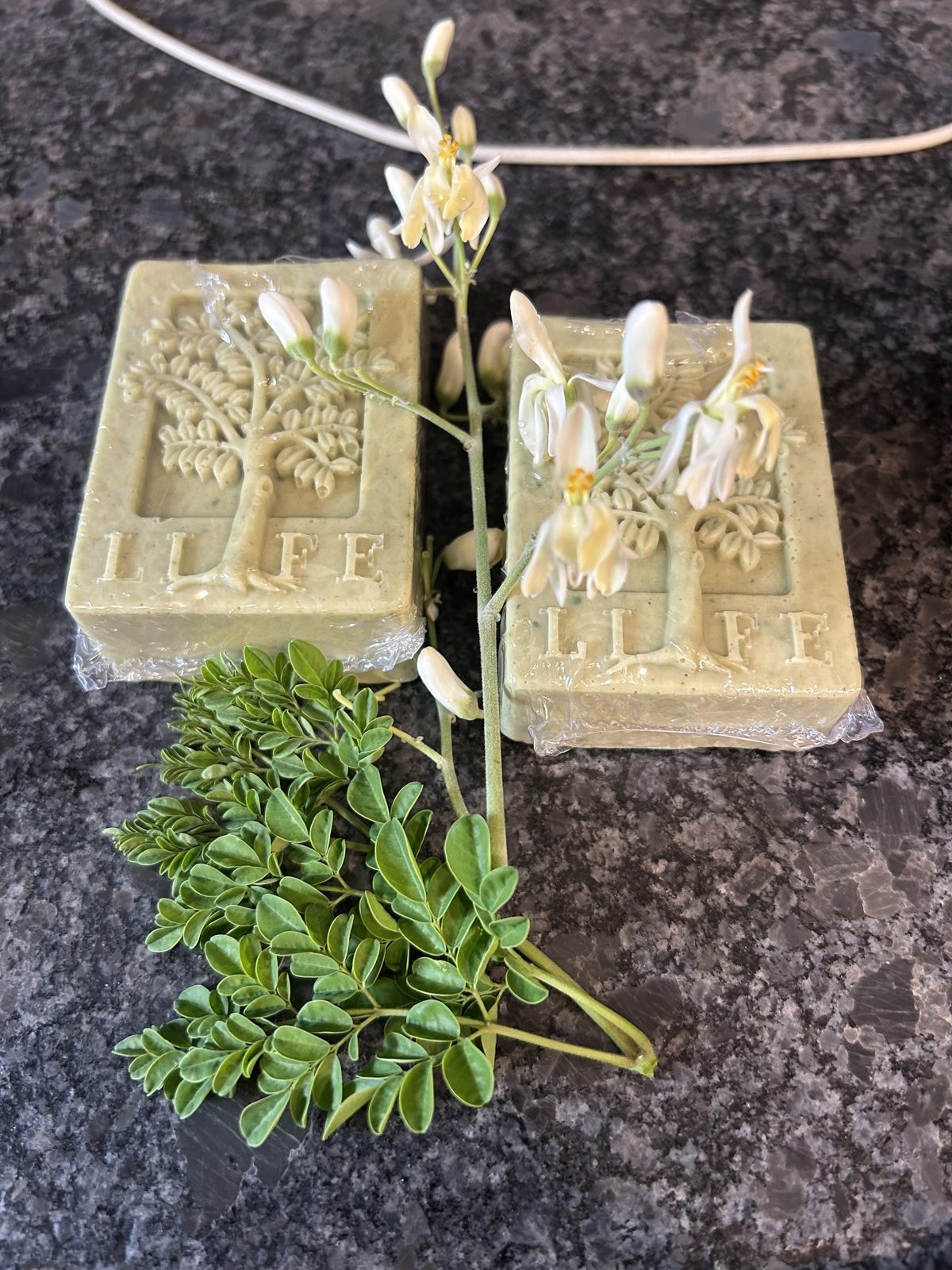 Moringa soap bars with fresh moringa leaves and flowers — mOrganic