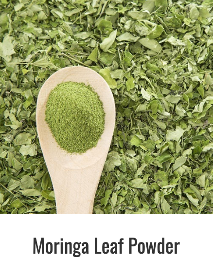mOrganic Moringa leaf powder on a wooden spoon