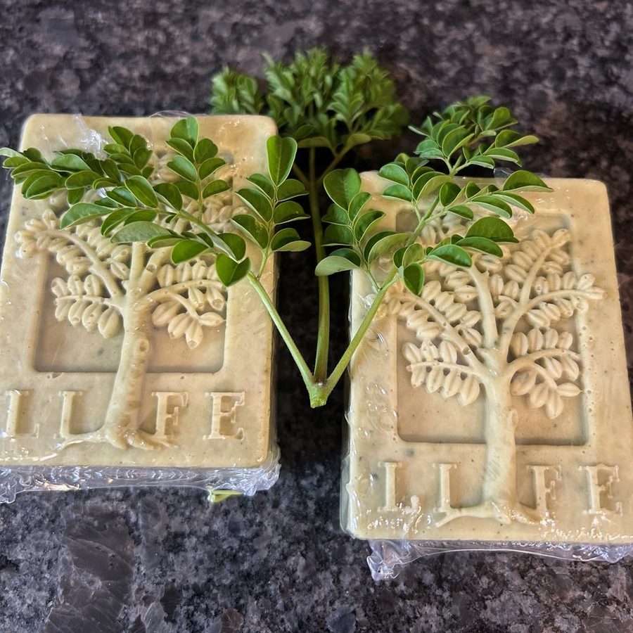 Two moringa LIFE bars embossed with a moringa tree, beside fresh moringa sprigs