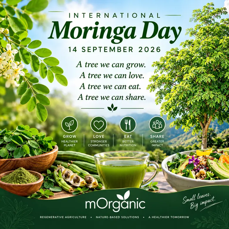 International Moringa Day, 14 September 2026. A tree we can grow. A tree we can love. A tree we can eat. A tree we can share. mOrganic — small leaves, big impact.